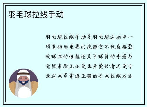 羽毛球拉线手动