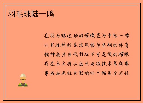 羽毛球陆一鸣